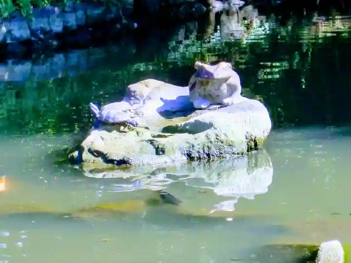 珊瑚寺(群馬県)