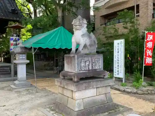 菅生神社の狛犬