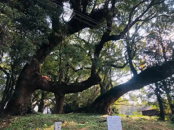 大汝牟遅神社の自然