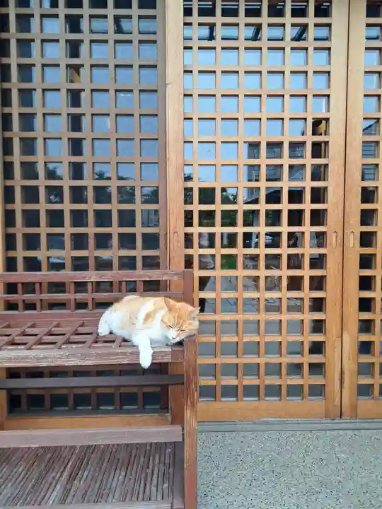 善了寺(神奈川県)