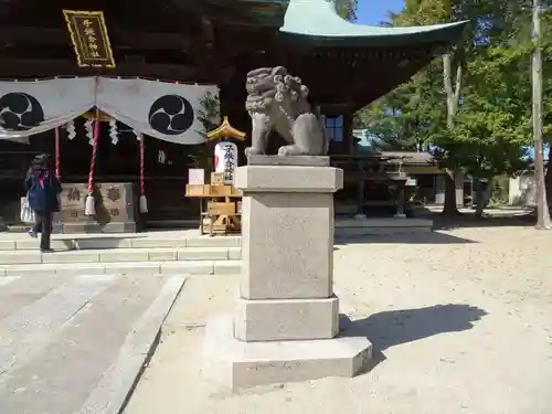 子鍬倉神社の狛犬