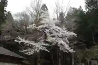 秩父若御子神社の庭園