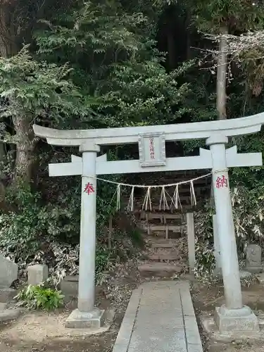 冨士浅間神社の鳥居