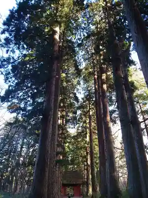 戸隠神社九頭龍社のその他建物