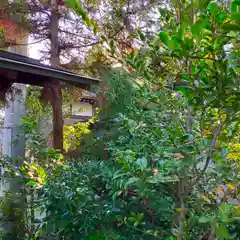 御霊神社の自然