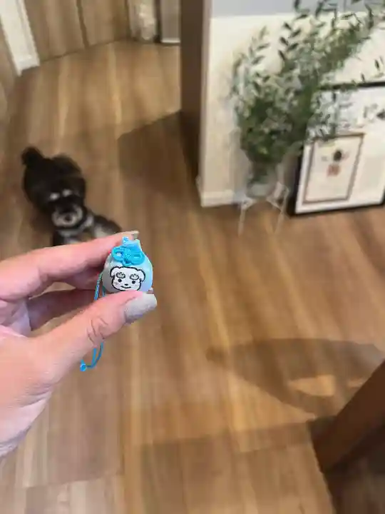 七社神社(東京都)