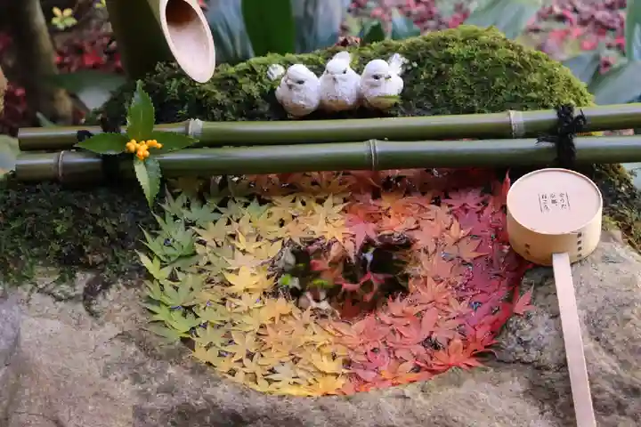 柳谷観音 楊谷寺(京都府)