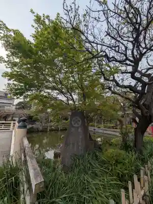 亀戸天神社(東京都)