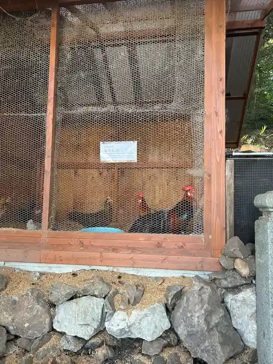大甕神社(茨城県)