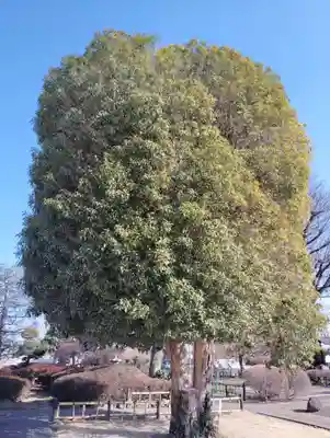 善長寺(群馬県)