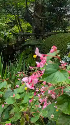 寂光院(京都府)