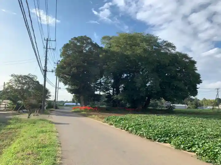 天神社(千葉県)