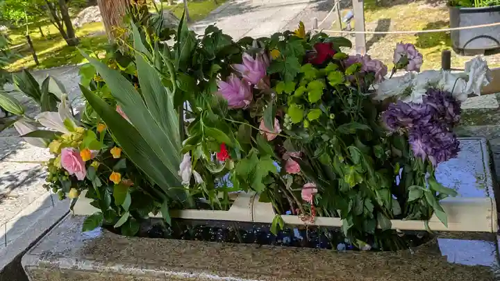 勝林寺(京都府)