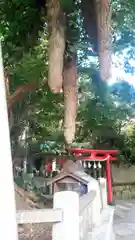 海南神社の自然