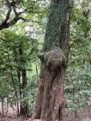 若都王子神社の庭園