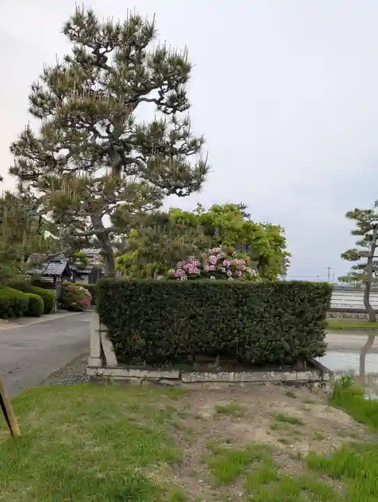 観音寺(滋賀県)