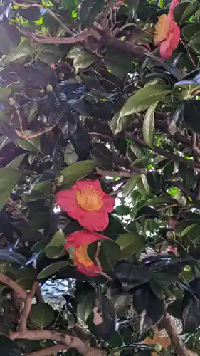 妙蓮寺(京都府)