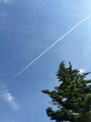 蓮華寺の{uncategorized: "未分類", other: "その他", undefined: "問題あり", building: "その他建物", grave: "お墓", sacred_gate: "鳥居", guardian: "狛犬", statue: "像", buddha: "仏像", history: "歴史", nature: "自然", garden: "庭園", animal: "動物", pagoda: "塔", temizu: "手水舎", mountain_gate: "山門・神門", sanctuary: "本殿・本堂", subordinate: "末社・摂社", art: "芸術", scenery: "景色", jizo: "地蔵", ema: "絵馬", goshuin: "御朱印", omikuji: "おみくじ", items: "授与品その他", amulet: "お守り", goshuincho: "御朱印帳", eats: "食事", festival: "お祭り", votive_dance: "神楽", shichigosan: "七五三参", wedding: "結婚式", experience: "体験その他", initially: "初詣", around: "周辺", anti_infection: "感染症対策"}