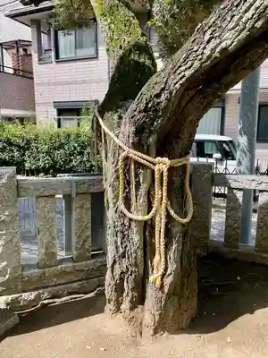 綾瀬稲荷神社(東京都)