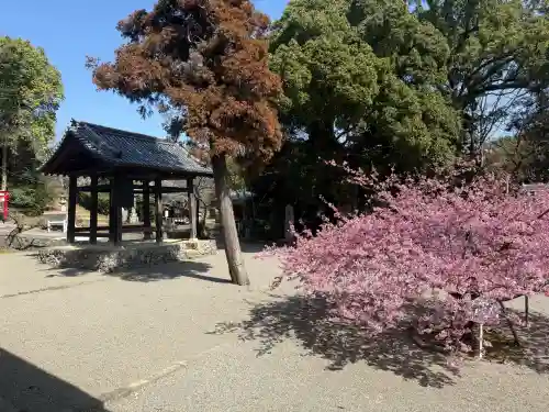 粉河寺の{uncategorized: "未分類", other: "その他", undefined: "問題あり", building: "その他建物", grave: "お墓", sacred_gate: "鳥居", guardian: "狛犬", statue: "像", buddha: "仏像", history: "歴史", nature: "自然", garden: "庭園", animal: "動物", pagoda: "塔", temizu: "手水舎", mountain_gate: "山門・神門", sanctuary: "本殿・本堂", subordinate: "末社・摂社", art: "芸術", scenery: "景色", jizo: "地蔵", ema: "絵馬", goshuin: "御朱印", omikuji: "おみくじ", items: "授与品その他", amulet: "お守り", goshuincho: "御朱印帳", eats: "食事", festival: "お祭り", votive_dance: "神楽", shichigosan: "七五三参", wedding: "結婚式", experience: "体験その他", initially: "初詣", around: "周辺", anti_infection: "感染症対策"}