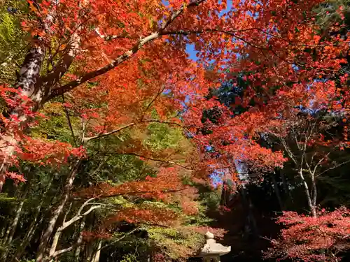 比叡山延暦寺の自然