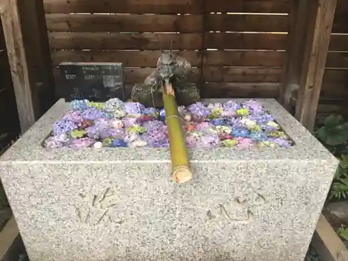 鎮守氷川神社の手水