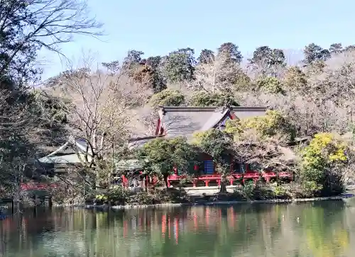井の頭弁財天（大盛寺）の{uncategorized: "未分類", other: "その他", undefined: "問題あり", building: "その他建物", grave: "お墓", sacred_gate: "鳥居", guardian: "狛犬", statue: "像", buddha: "仏像", history: "歴史", nature: "自然", garden: "庭園", animal: "動物", pagoda: "塔", temizu: "手水舎", mountain_gate: "山門・神門", sanctuary: "本殿・本堂", subordinate: "末社・摂社", art: "芸術", scenery: "景色", jizo: "地蔵", ema: "絵馬", goshuin: "御朱印", omikuji: "おみくじ", items: "授与品その他", amulet: "お守り", goshuincho: "御朱印帳", eats: "食事", festival: "お祭り", votive_dance: "神楽", shichigosan: "七五三参", wedding: "結婚式", experience: "体験その他", initially: "初詣", around: "周辺", anti_infection: "感染症対策"}