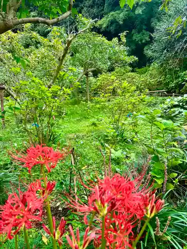 明月院(神奈川県)
