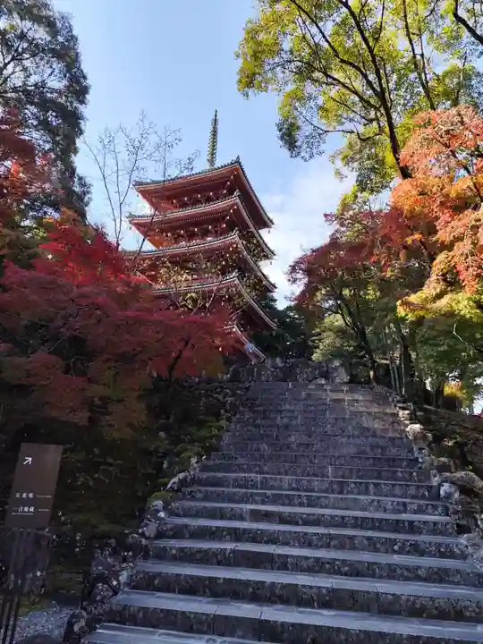 竹林寺(高知県)