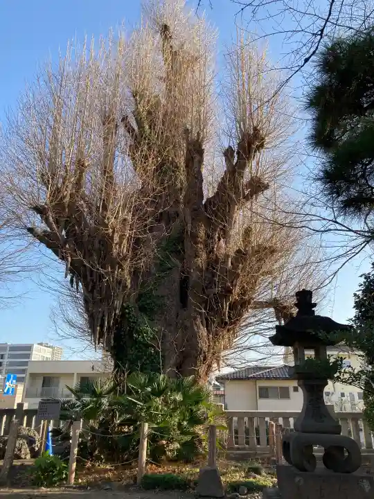 前橋八幡宮の{uncategorized: "未分類", other: "その他", undefined: "問題あり", building: "その他建物", grave: "お墓", sacred_gate: "鳥居", guardian: "狛犬", statue: "像", buddha: "仏像", history: "歴史", nature: "自然", garden: "庭園", animal: "動物", pagoda: "塔", temizu: "手水舎", mountain_gate: "山門・神門", sanctuary: "本殿・本堂", subordinate: "末社・摂社", art: "芸術", scenery: "景色", jizo: "地蔵", ema: "絵馬", goshuin: "御朱印", omikuji: "おみくじ", items: "授与品その他", amulet: "お守り", goshuincho: "御朱印帳", eats: "食事", festival: "お祭り", votive_dance: "神楽", shichigosan: "七五三参", wedding: "結婚式", experience: "体験その他", initially: "初詣", around: "周辺", anti_infection: "感染症対策"}