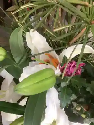 龍福寺（普照庵 龍福寺）(愛知県)