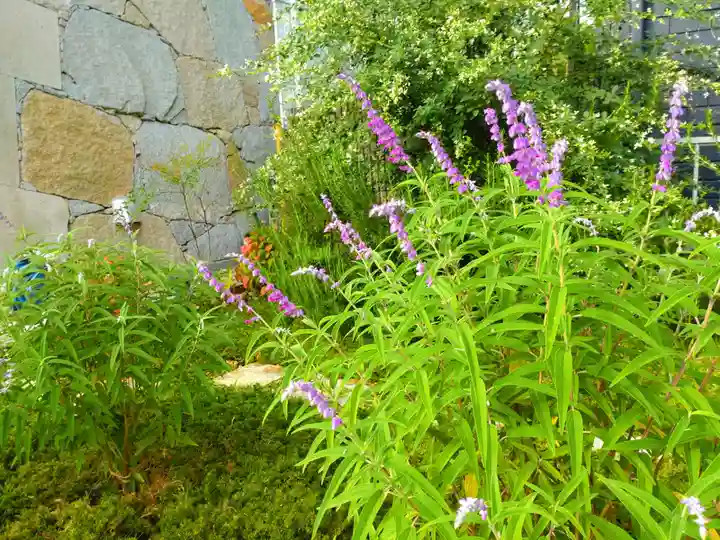 寿量山 速成寺(奈良県)