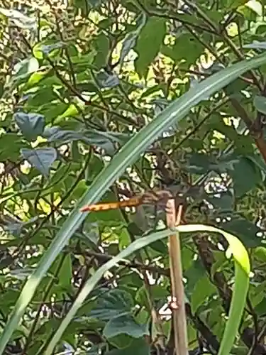 筑波山神社 男体山御本殿(茨城県)