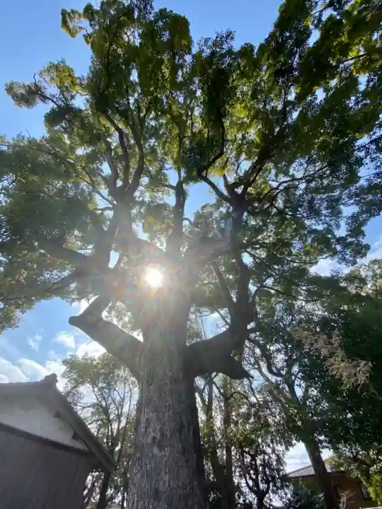 玉田神社の自然