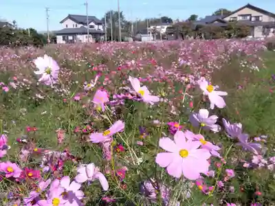 白山神社(福井県)