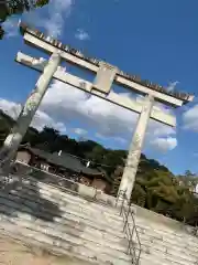 山口縣護國神社の鳥居