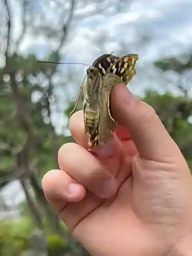 国宝 大法寺(長野県)