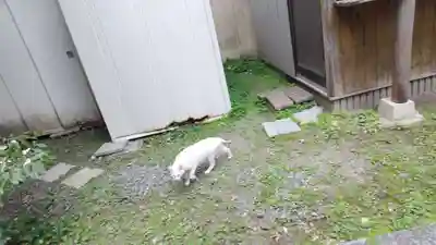 道祖神社(京都府)
