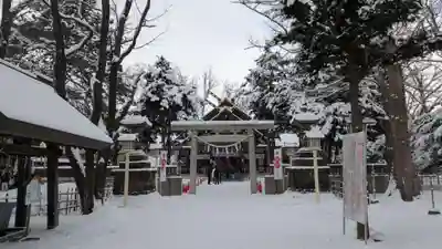 新琴似神社(北海道)