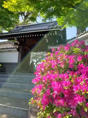 神足寺の山門・神門