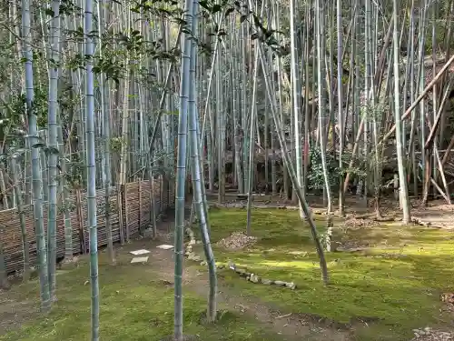 滝口寺の{uncategorized: "未分類", other: "その他", undefined: "問題あり", building: "その他建物", grave: "お墓", sacred_gate: "鳥居", guardian: "狛犬", statue: "像", buddha: "仏像", history: "歴史", nature: "自然", garden: "庭園", animal: "動物", pagoda: "塔", temizu: "手水舎", mountain_gate: "山門・神門", sanctuary: "本殿・本堂", subordinate: "末社・摂社", art: "芸術", scenery: "景色", jizo: "地蔵", ema: "絵馬", goshuin: "御朱印", omikuji: "おみくじ", items: "授与品その他", amulet: "お守り", goshuincho: "御朱印帳", eats: "食事", festival: "お祭り", votive_dance: "神楽", shichigosan: "七五三参", wedding: "結婚式", experience: "体験その他", initially: "初詣", around: "周辺", anti_infection: "感染症対策"}
