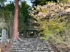 常照皇寺(京都府)