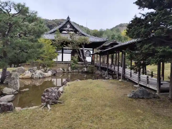 高台寺(高台寿聖禅寺・高臺寺)(京都府)