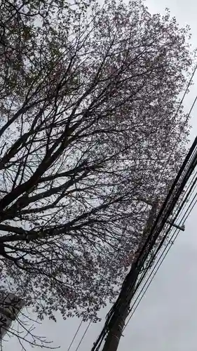 共栄稲荷神社の自然