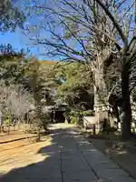 赤坂氷川神社(東京都)