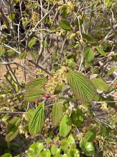 八事山 興正寺(愛知県)
