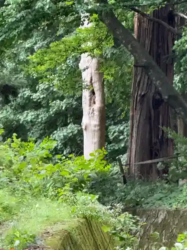 諏訪大社(長野県)