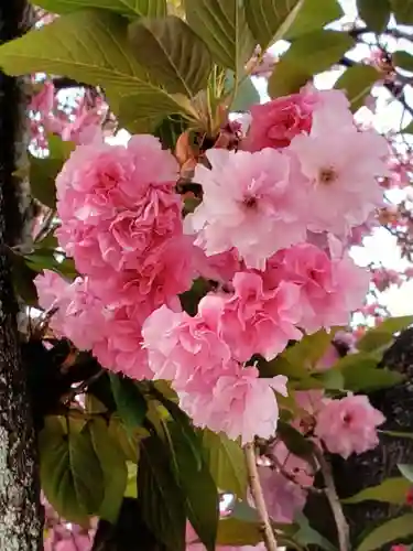 荘厳寺(東京都)