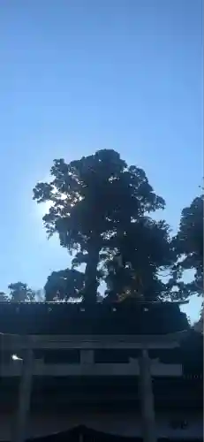 鹿島神宮(茨城県)