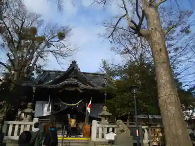 亀岡八幡宮（亀岡八幡神社）の本殿・本堂